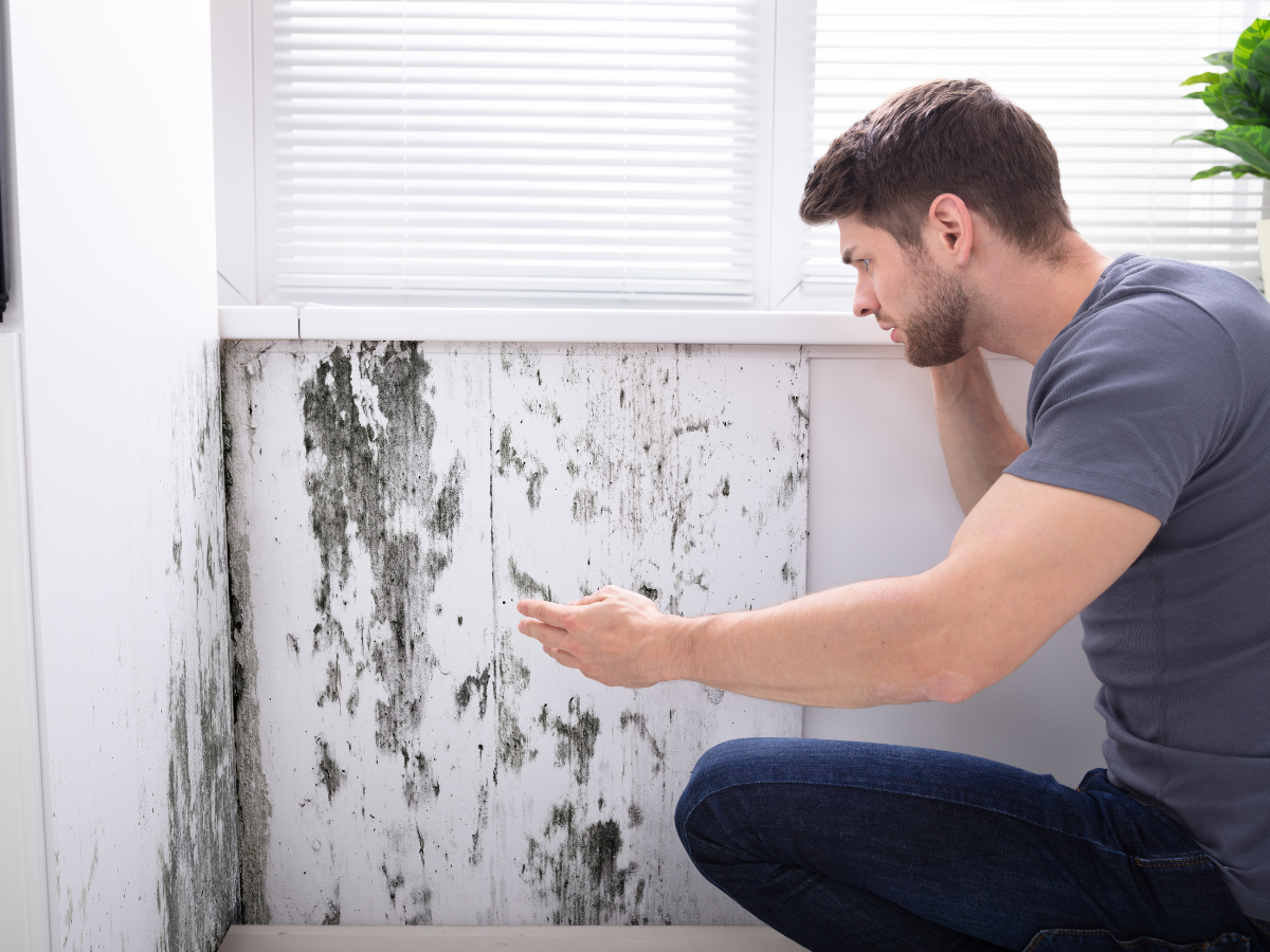 A man on the phone upset while looking at mould on the wall in his living room