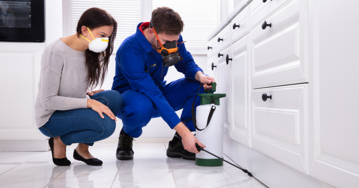 Pest control specialist working with homeowner to remove pests from kitchen